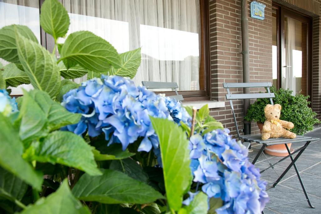 Hoevedomein Polderrust Nieuwpoort Exterior foto